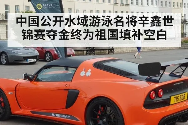 中国公开水域游泳名将辛鑫世锦赛夺金终为祖国填补空白